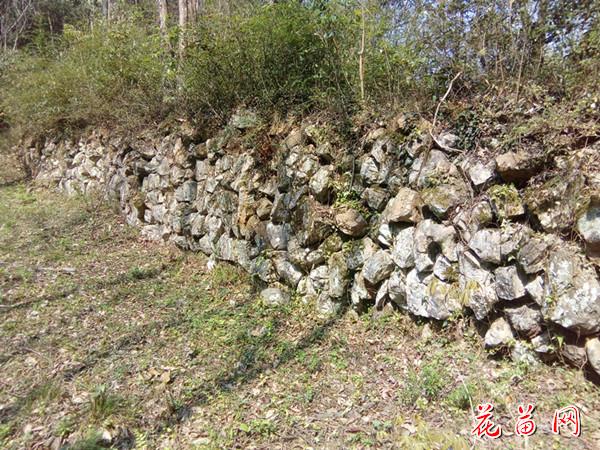 2.三桥双狮屯古城山下城墙_副本.jpg