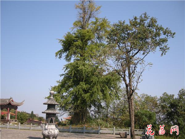 照片 187.jpg
