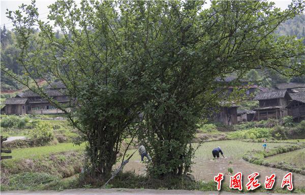 4、夫妻情深(2).jpg