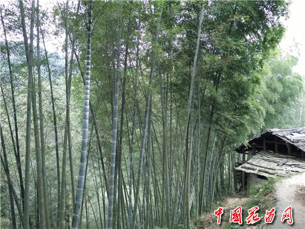 IMG20171223145606_副本.jpg