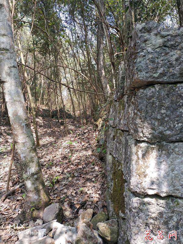 4.三桥双狮屯古城东石门城墙_副本.jpg