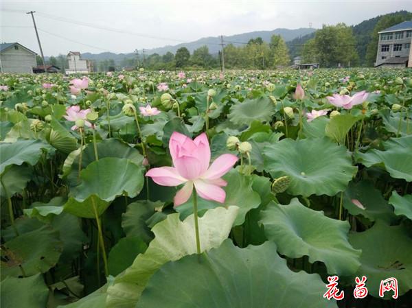 20_副本.jpg