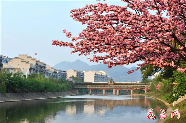 小城之春_调整大小.jpg