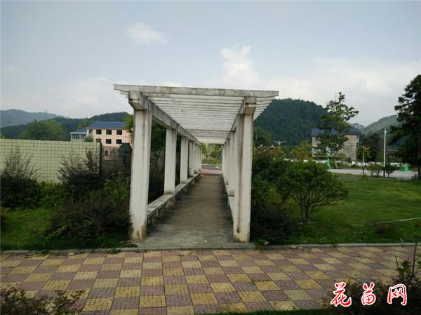 7.新修的长廊_副本.jpg