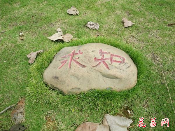 14_副本.jpg