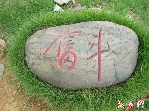 15_副本.jpg