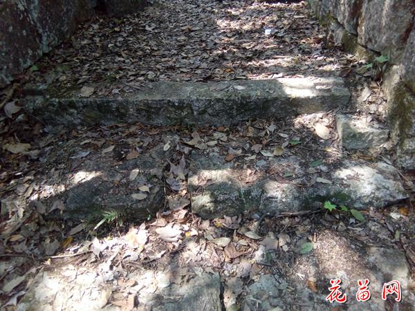 1.三桥双狮屯石板路_副本.jpg