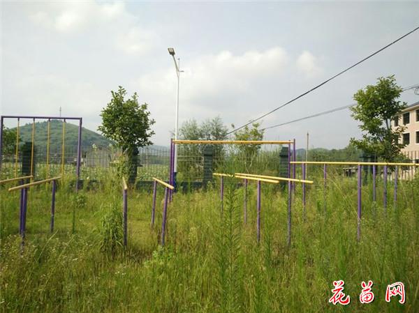 5.新添置的单双杠、爬杆_副本.jpg