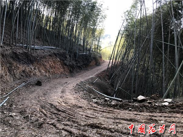 新修的公路路基_副本.jpg