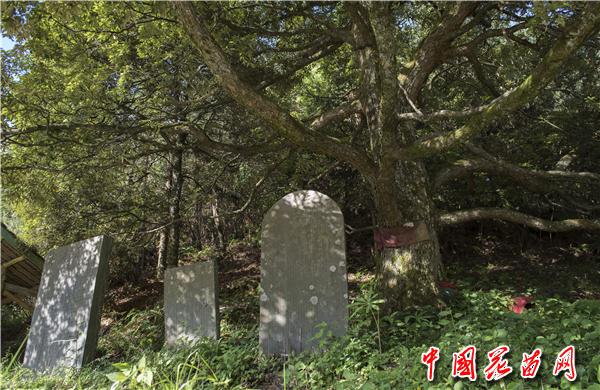 1、款场款碑 龙本亮.jpg