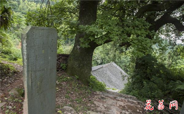 1.凤冲嘉庆年间学亭碑记(3) 龙本亮 摄影.jpg