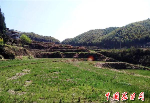 2、家乡风光.jpg