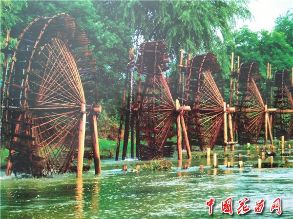 IMG20161206113153.jpg
