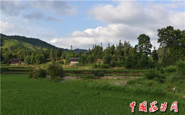 查塘古关(龙本亮).JPG
