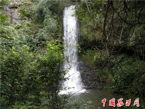 DSCN2727_副本.jpg